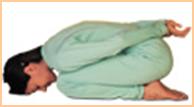 Yoga Mudra